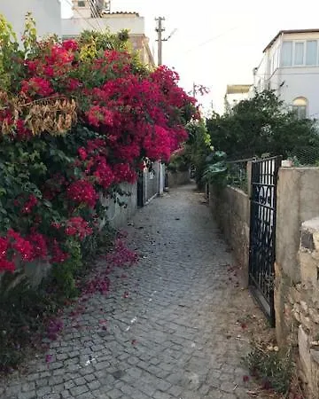 بيت ضيافة Private With Garden In The Center!